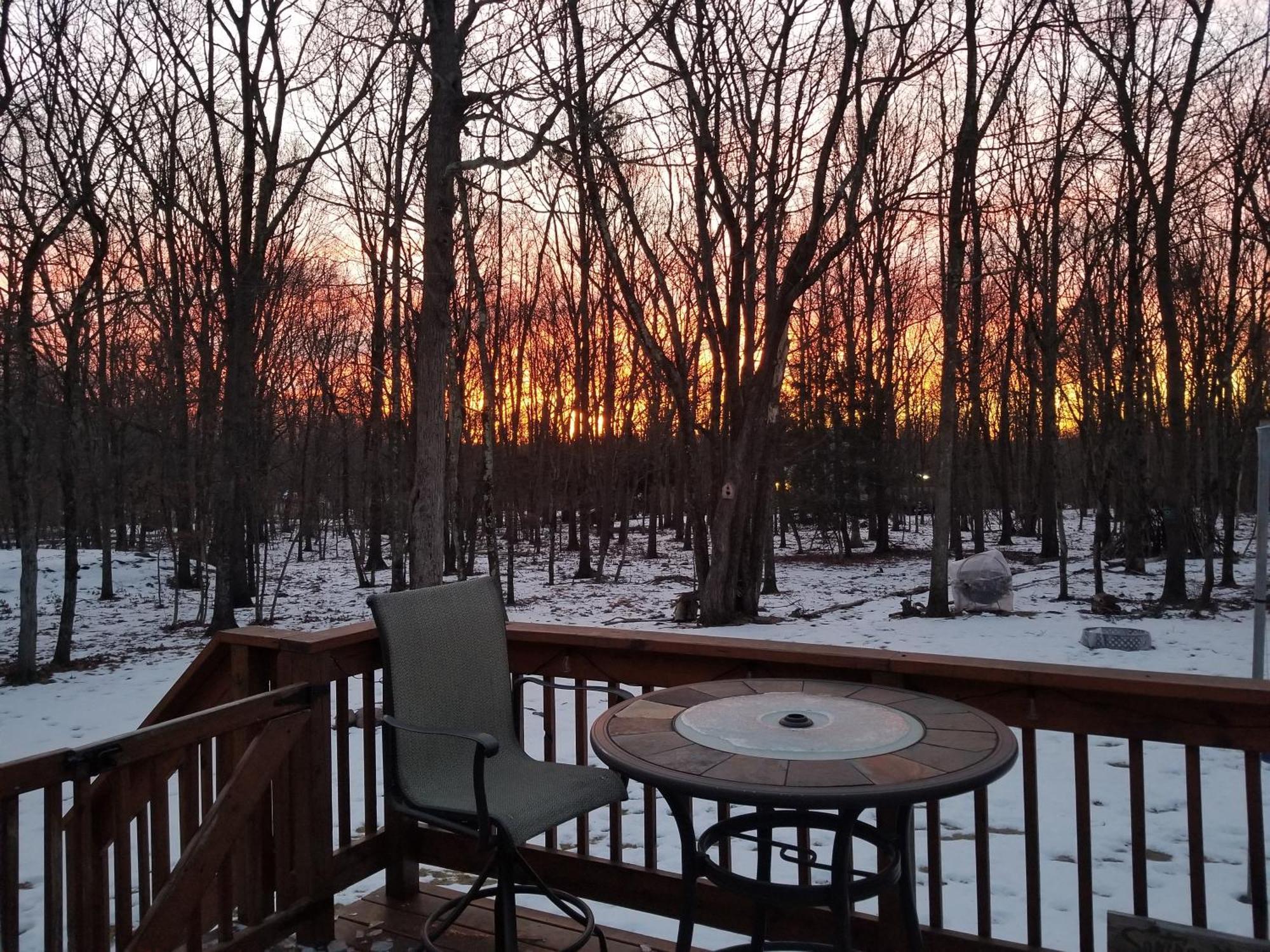 ג'ים ת'ורפ Serenity And Fun All In One In This Cozy Pocono Cabin מראה חיצוני תמונה
